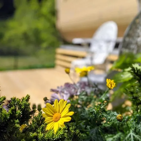 Tiny House With Terrace * Flam